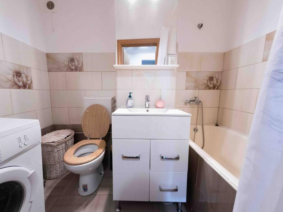 Апартаменти Apartament Тімішоара Екстер'єр фото