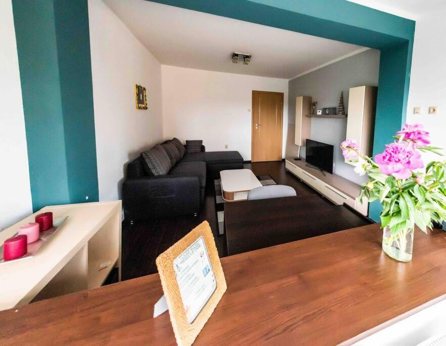 Апартаменти Apartament Тімішоара Екстер'єр фото